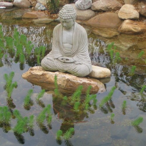 kitty hawk pool landscaping, water features kitty hawk, water southern shores