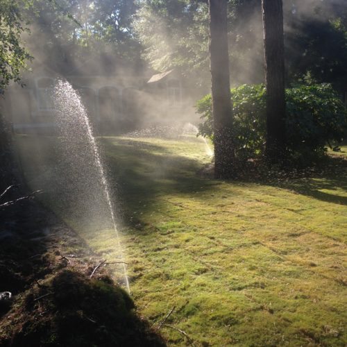 landscape irrigation contractor outer banks nc dare currituck southern scapes pool and landscape design