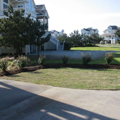 obx landscape outer banks plants sod irrigation southern scapes pool landscape design