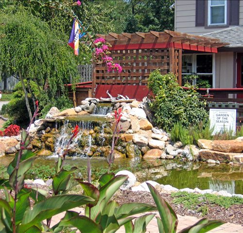 silver bonsai manteo obx nc commercial pond contractor southern scapes pool and landscape design